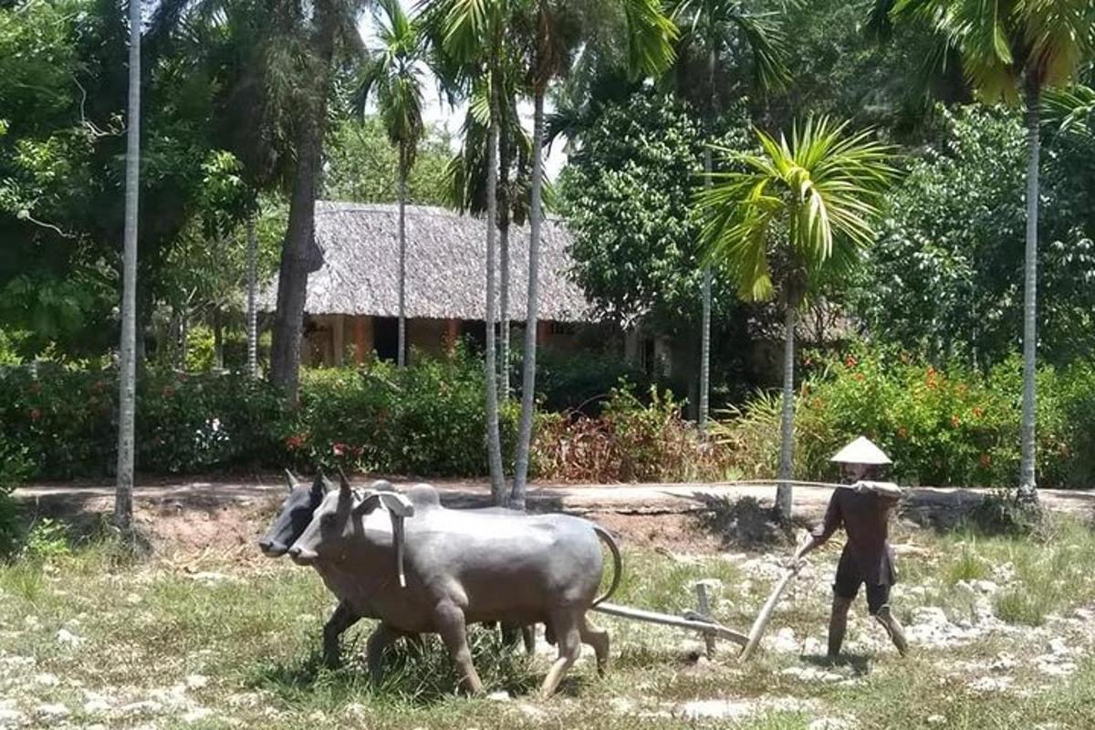 a man is plowing a field with two oxen