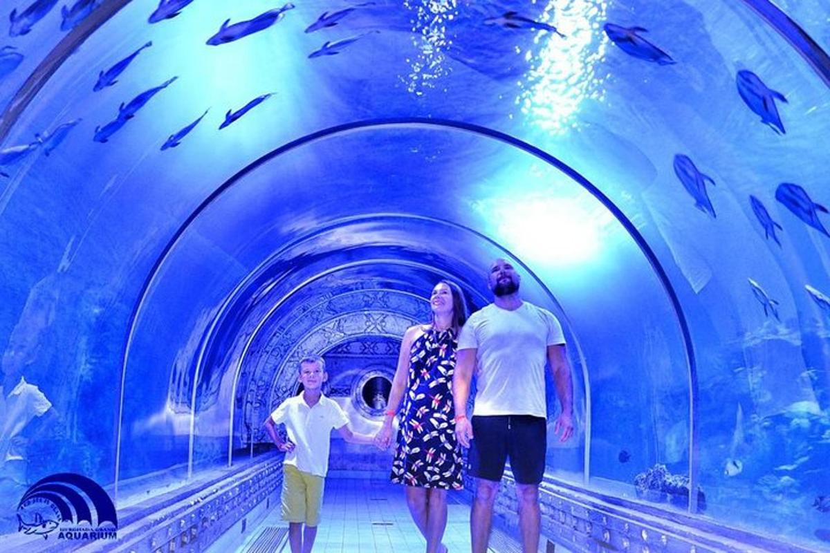 Photo de l’attraction numéro 1.
