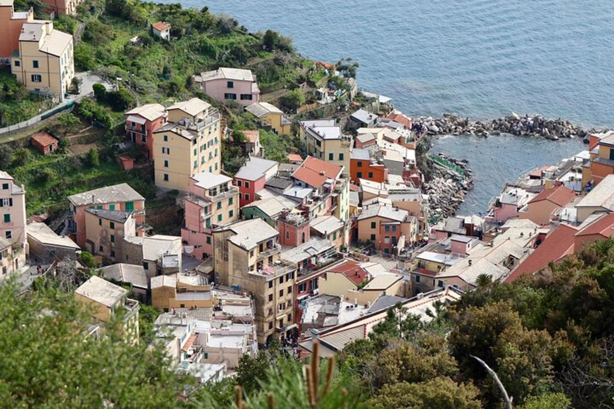 a group of houses on a hill next to the water