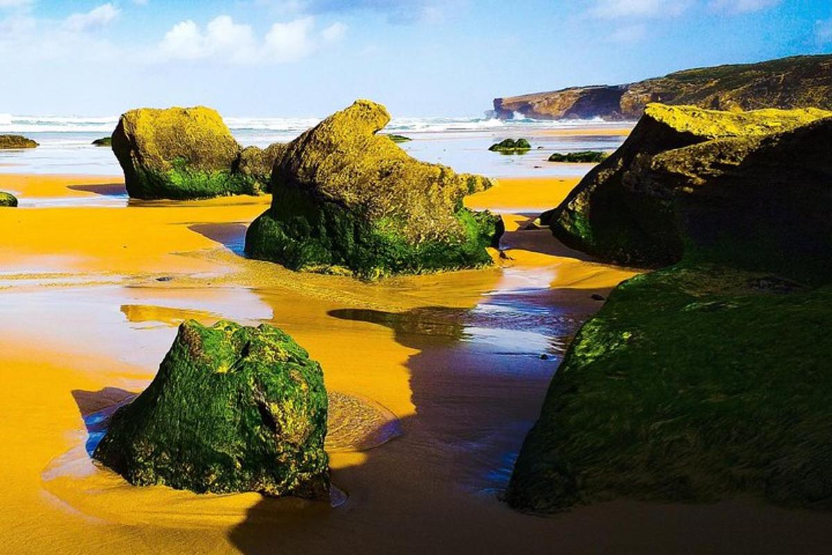 Un grupo de rocas en una playa con el océano