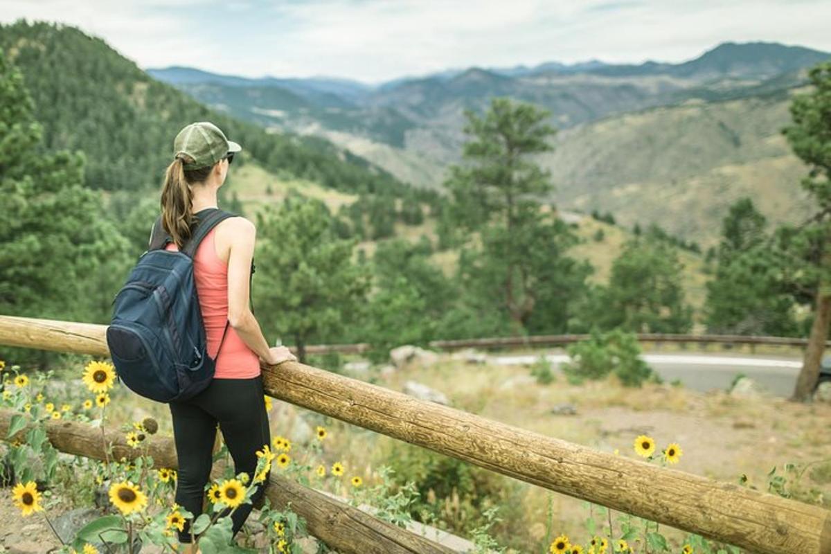 a woman standing on a fence looking at the mountains