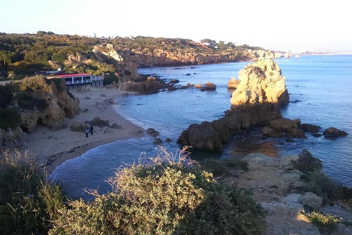 pemandangan pantai dengan batu di dalam air