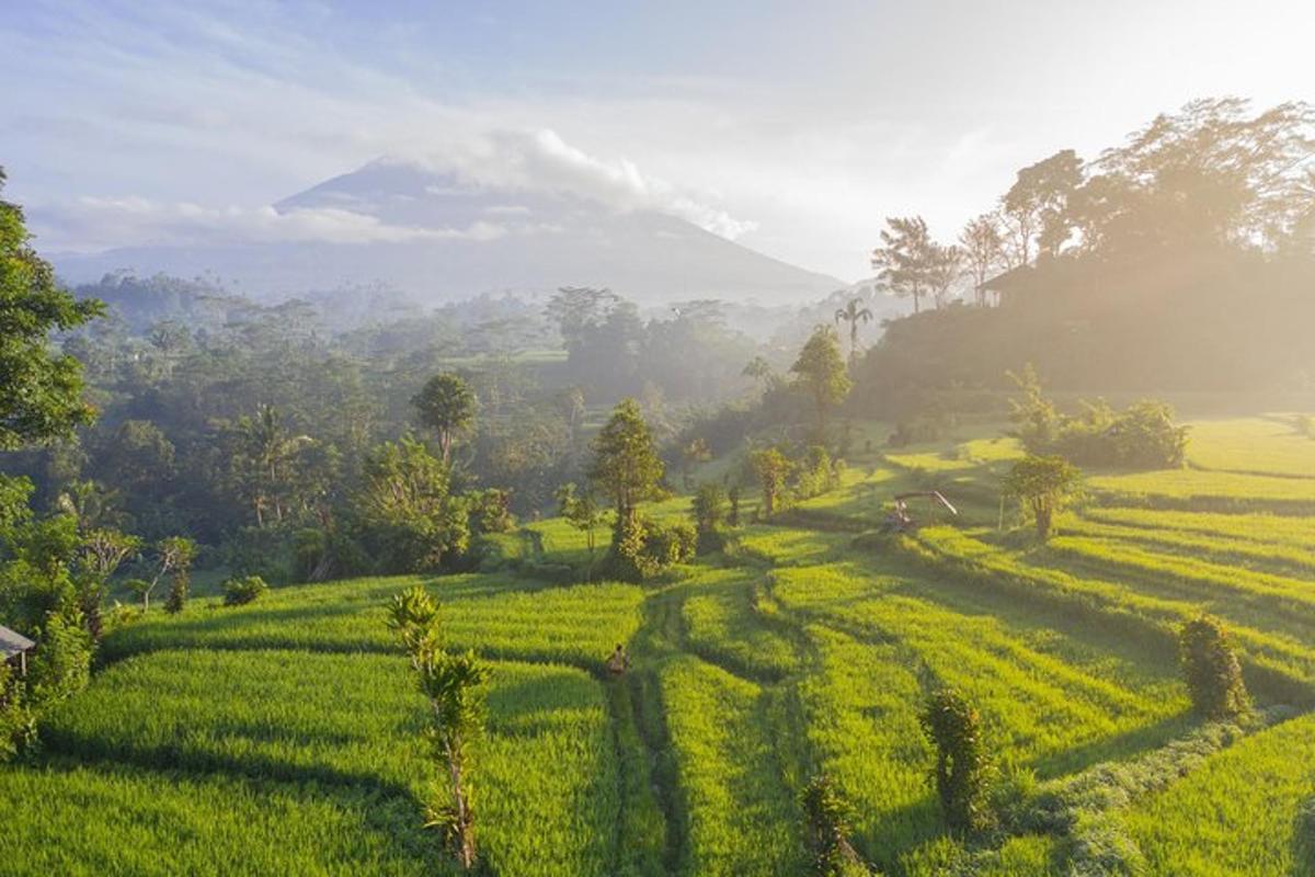 um campo verde com árvores e montanhas ao fundo