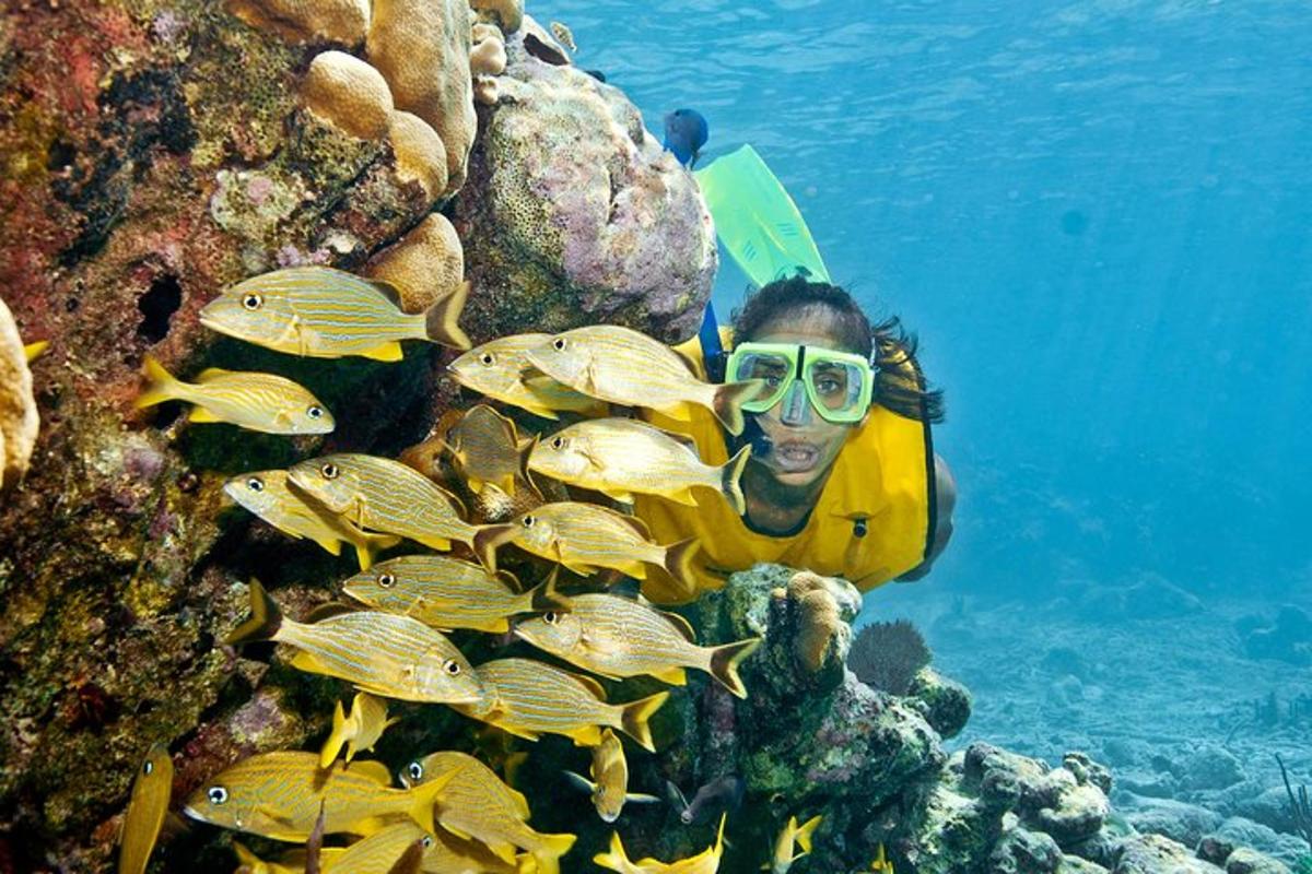 a person in a yellow jacket and some fish in the ocean