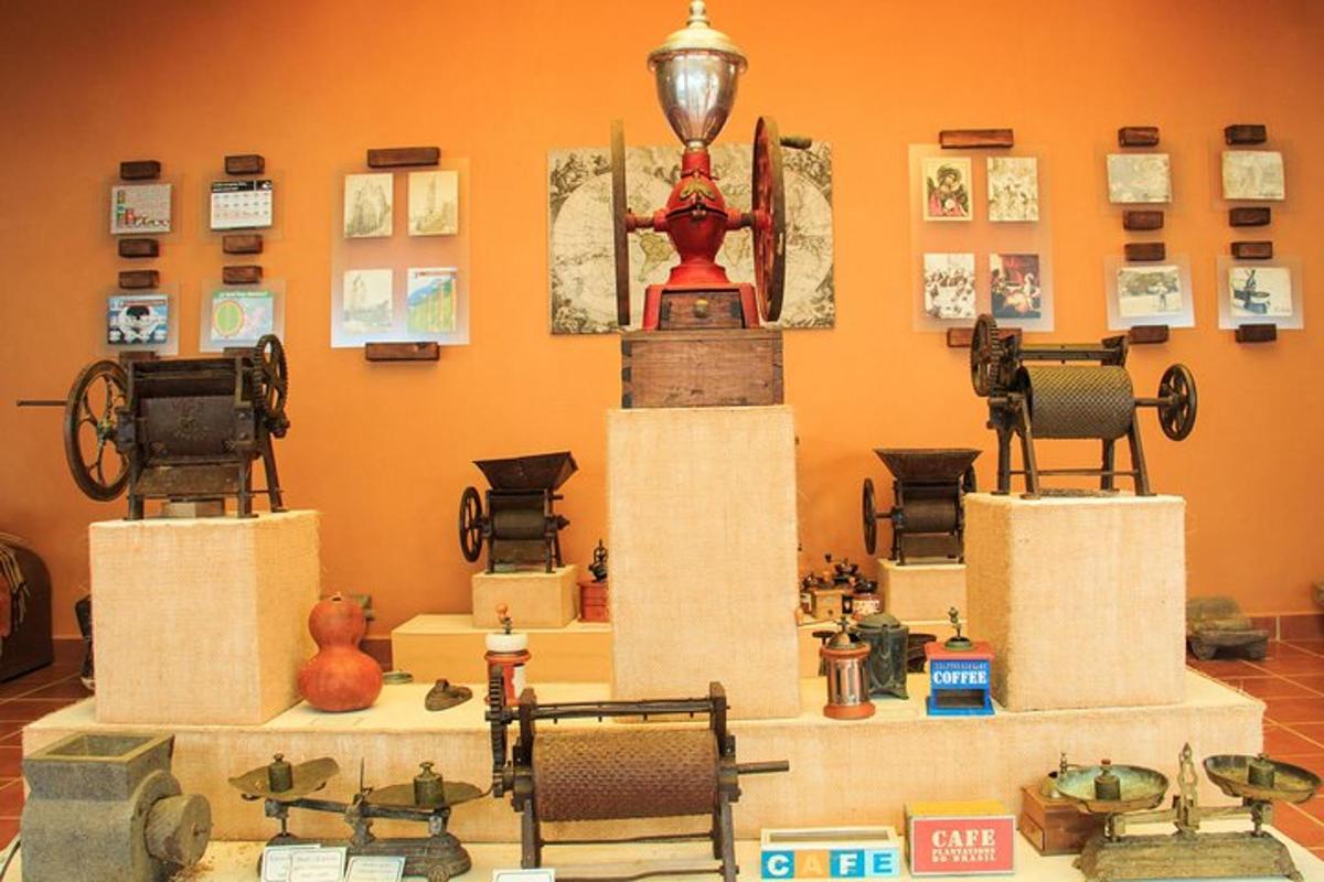 Una sala llena de muchos artículos diferentes en exhibición.