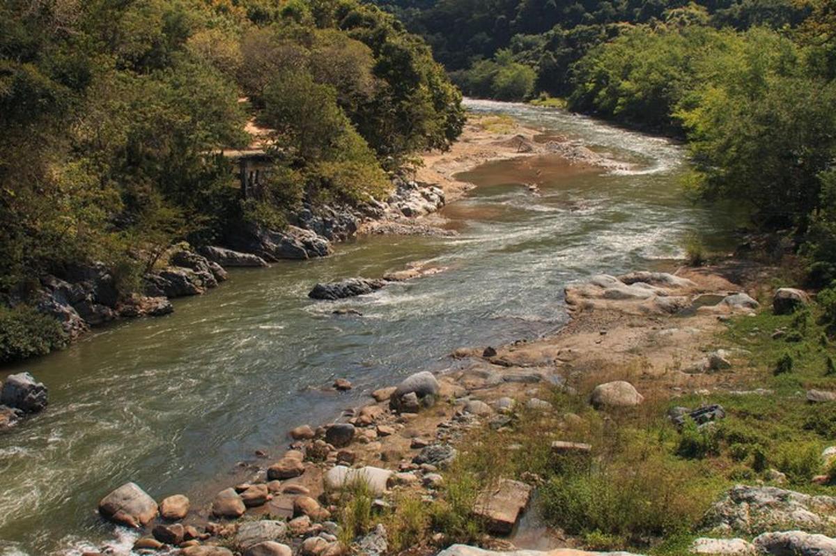 a river with rocks and trees on the side