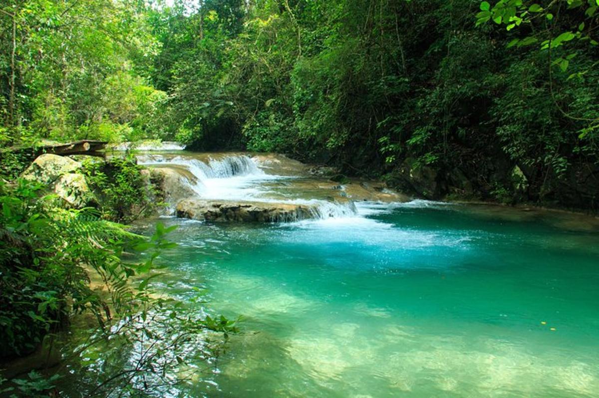 a river with a waterfall in a forest