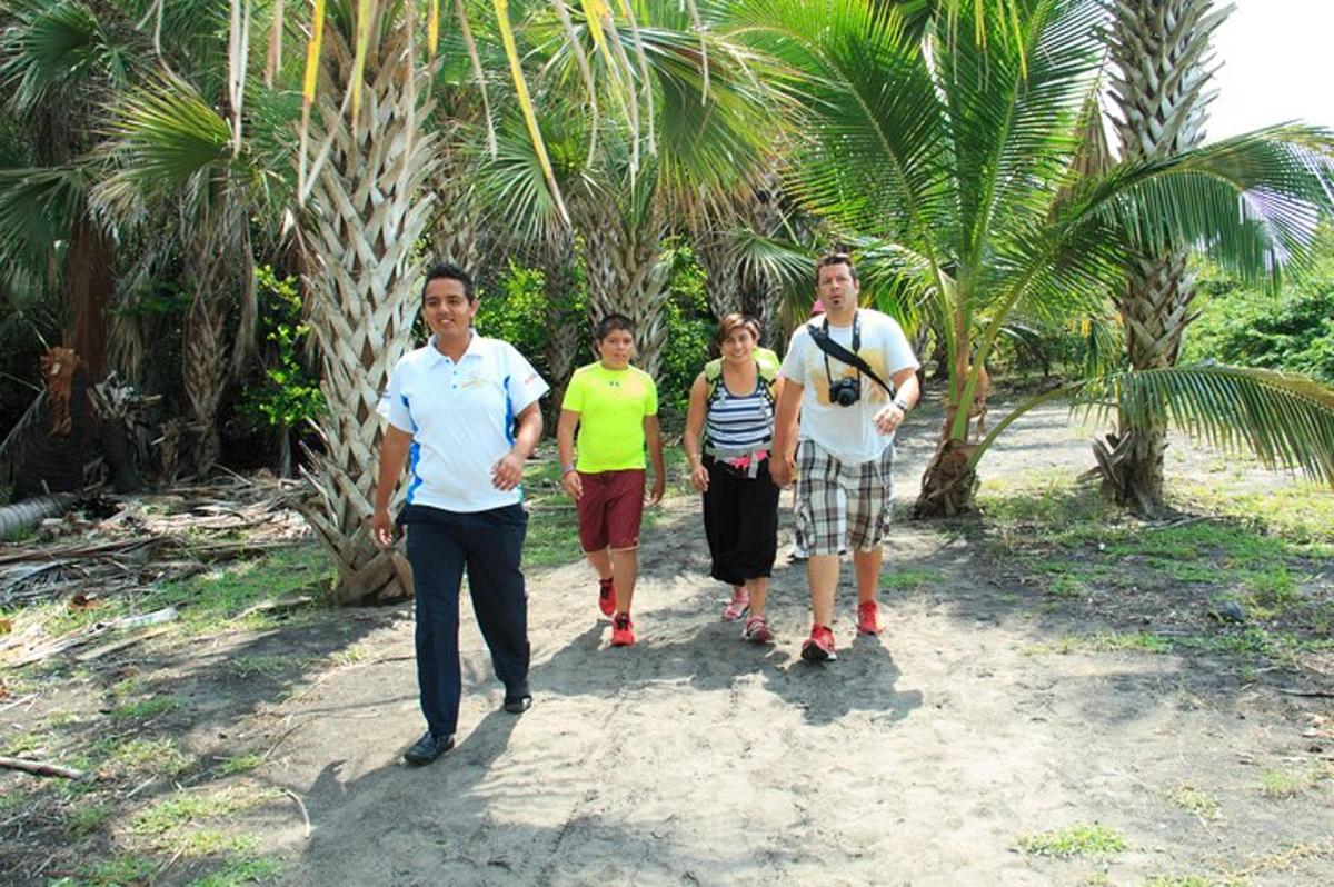 a group of people walking down a path with palm trees