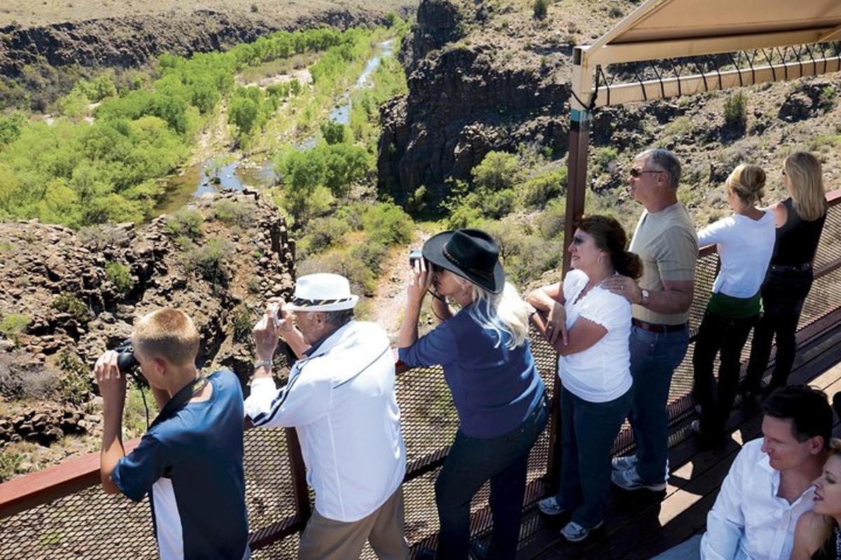 a group of people taking pictures of a canyon