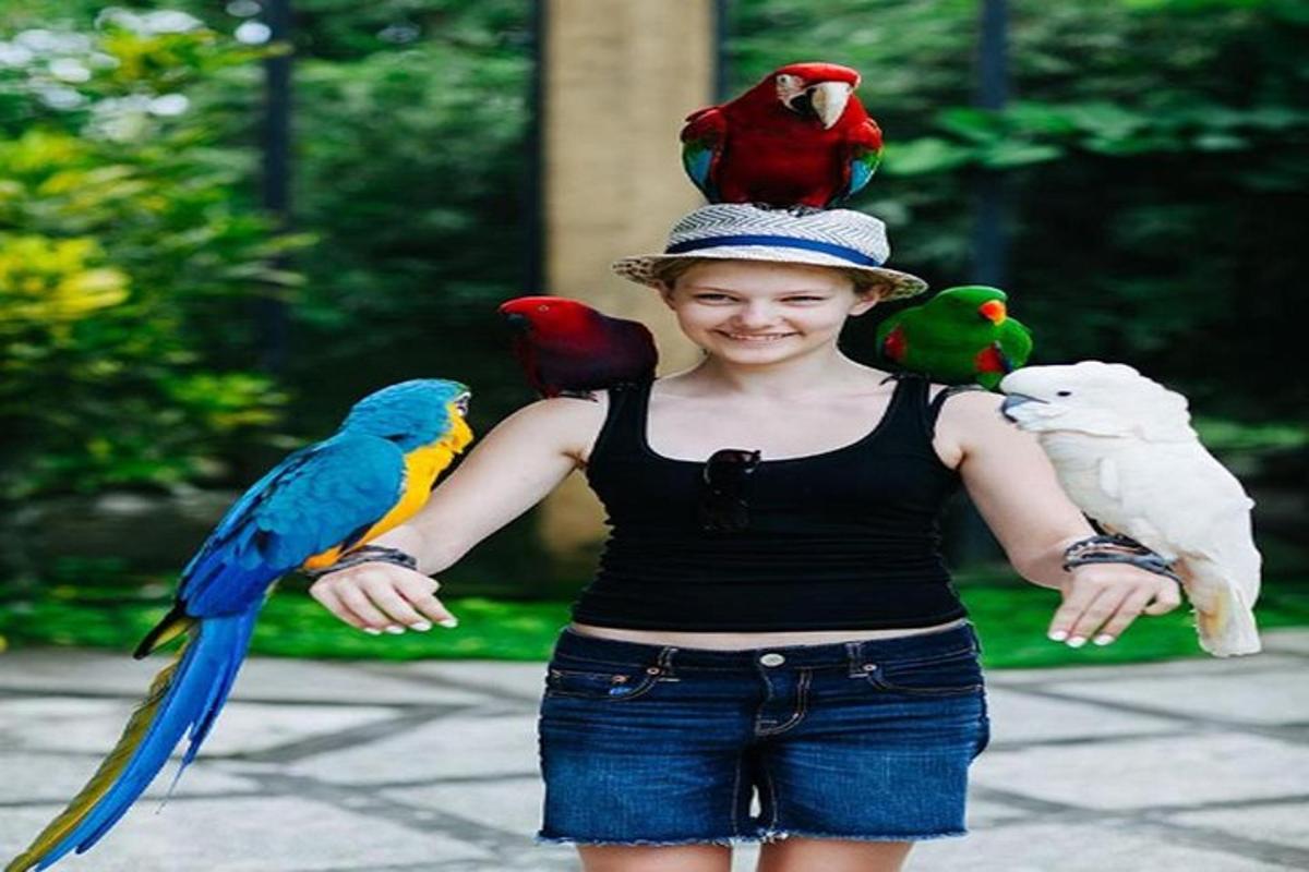 a young girl with birds on her hat