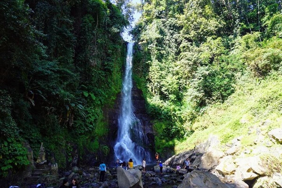 Un grupo de personas de pie frente a una cascada.