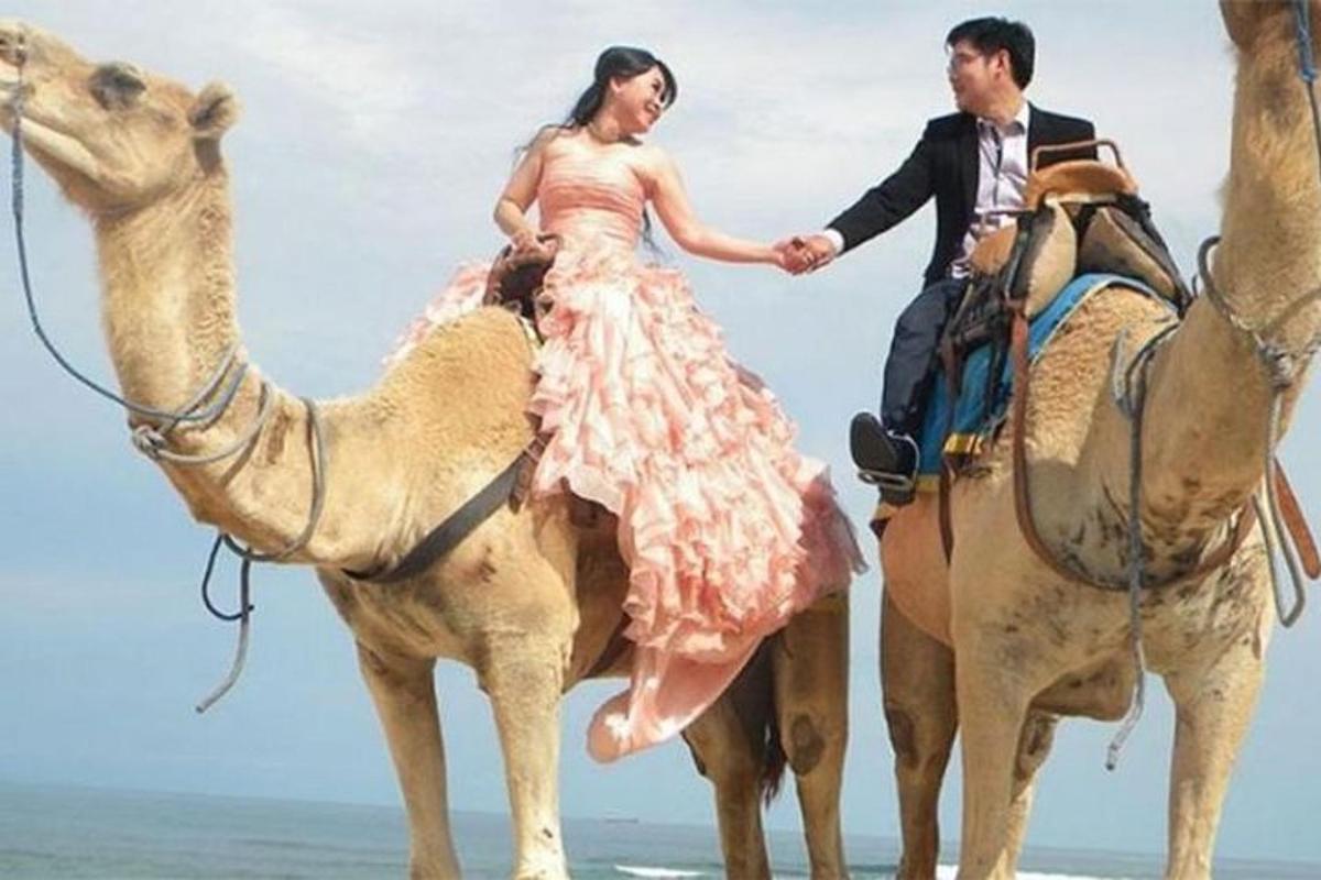 una sposa e uno sposo a cavallo di cammelli sulla spiaggia