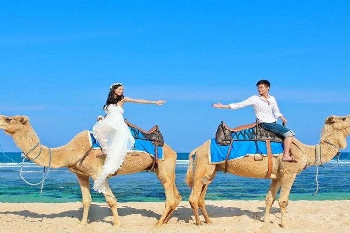 عروس وعريس يركبان الجمل على الشاطئ