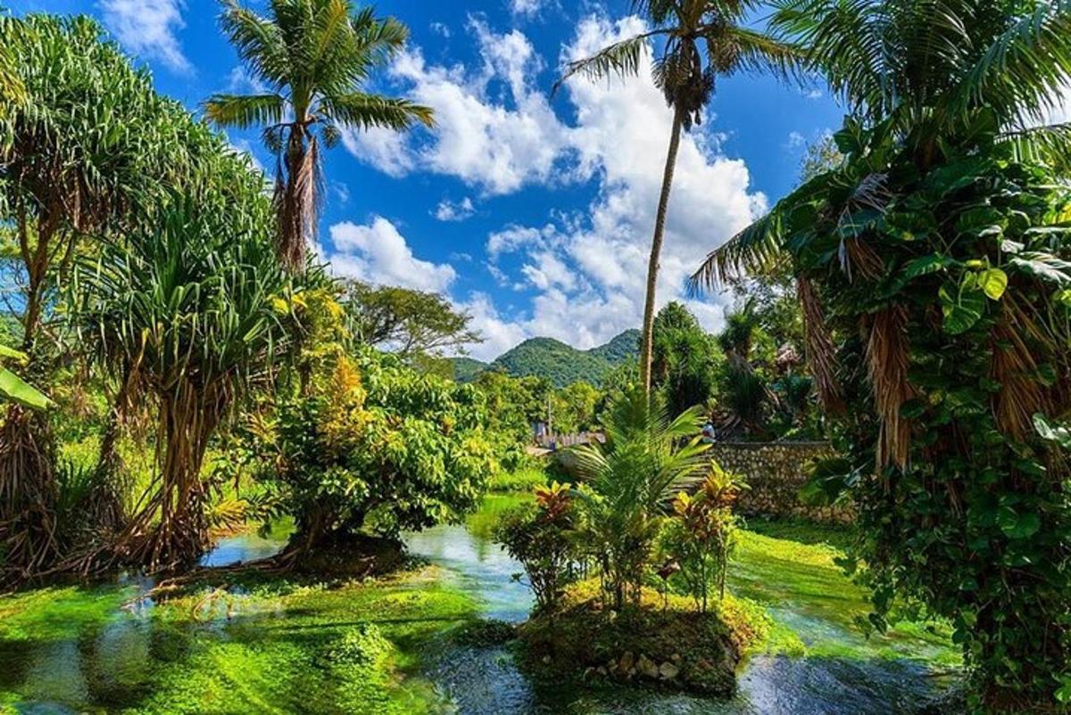 una giungla con palme e un fiume