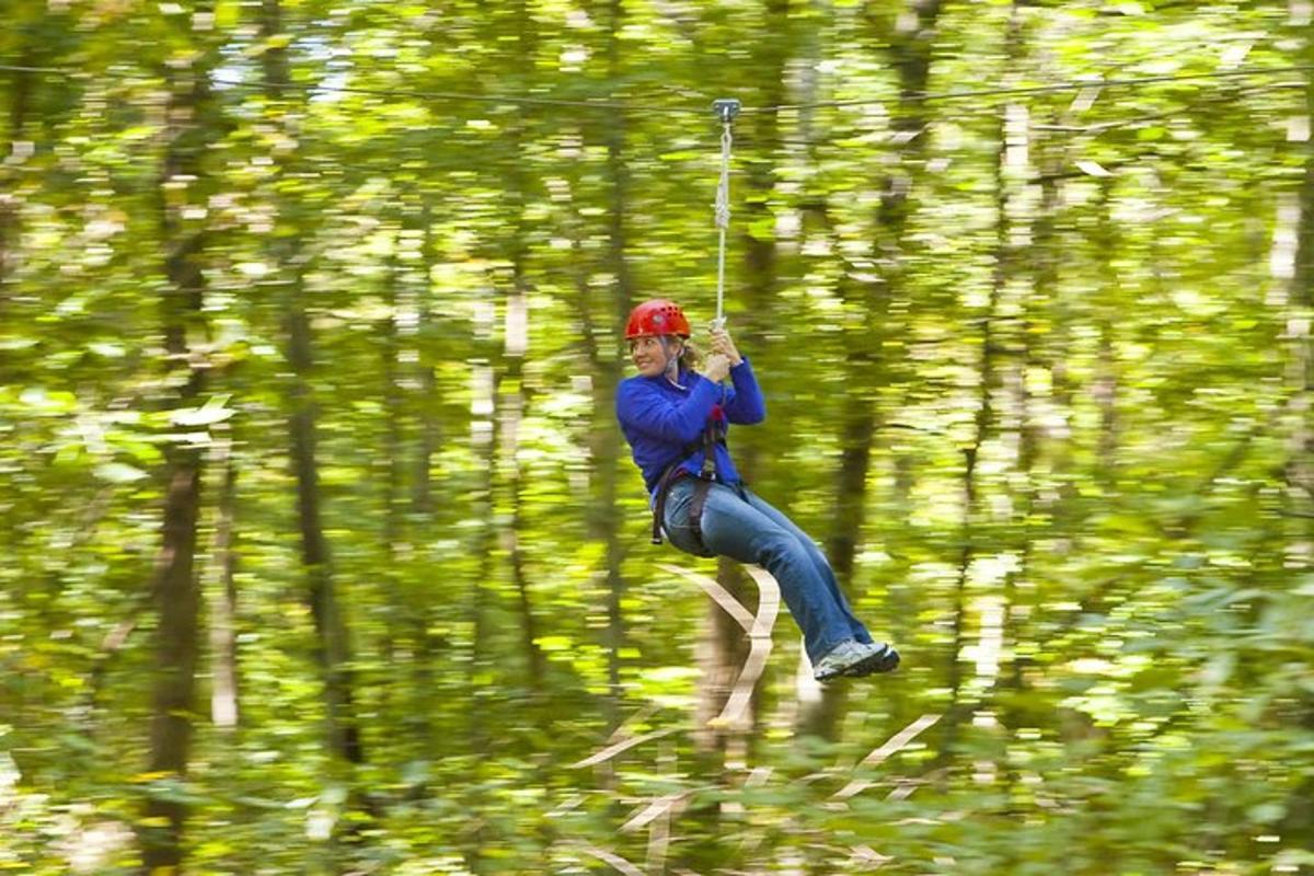 a person is flying through the woods on a zip line