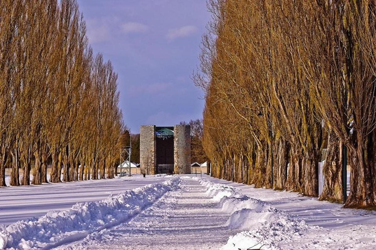 eine schneebedeckte Straße mit Bäumen und einem Gebäude