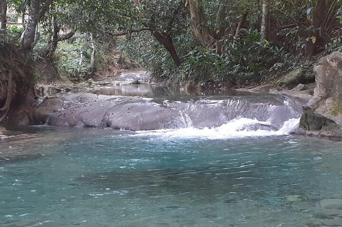 un riu amb una cascada en un bosc