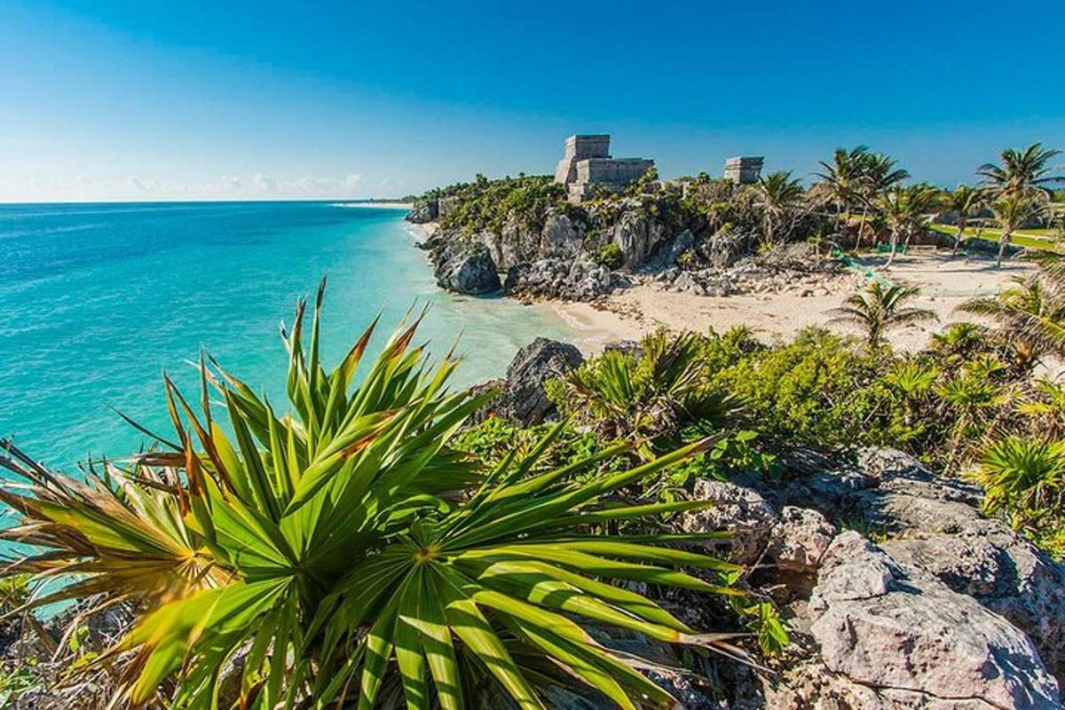 Blick auf einen Strand mit Palmen und das Meer