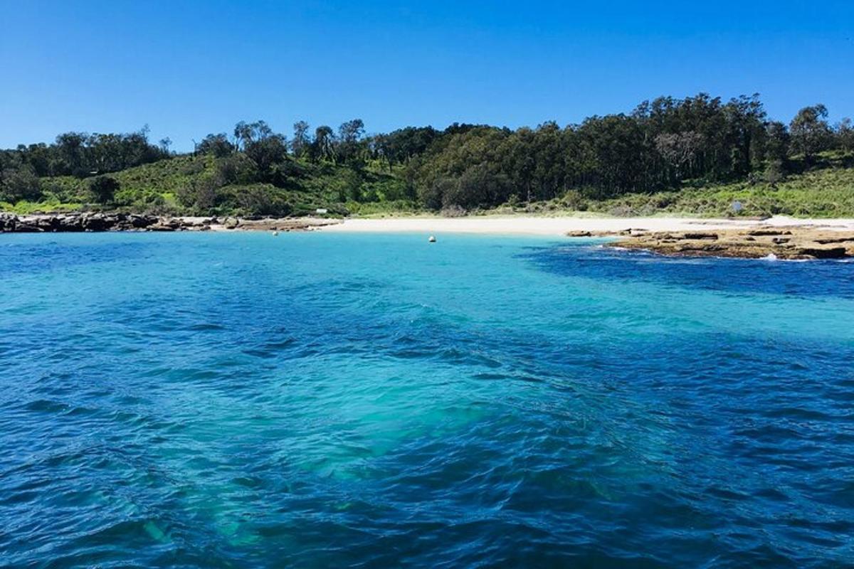 a large body of water with a beach in the background