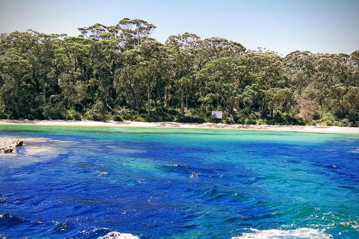 a beach with blue water and trees in the background