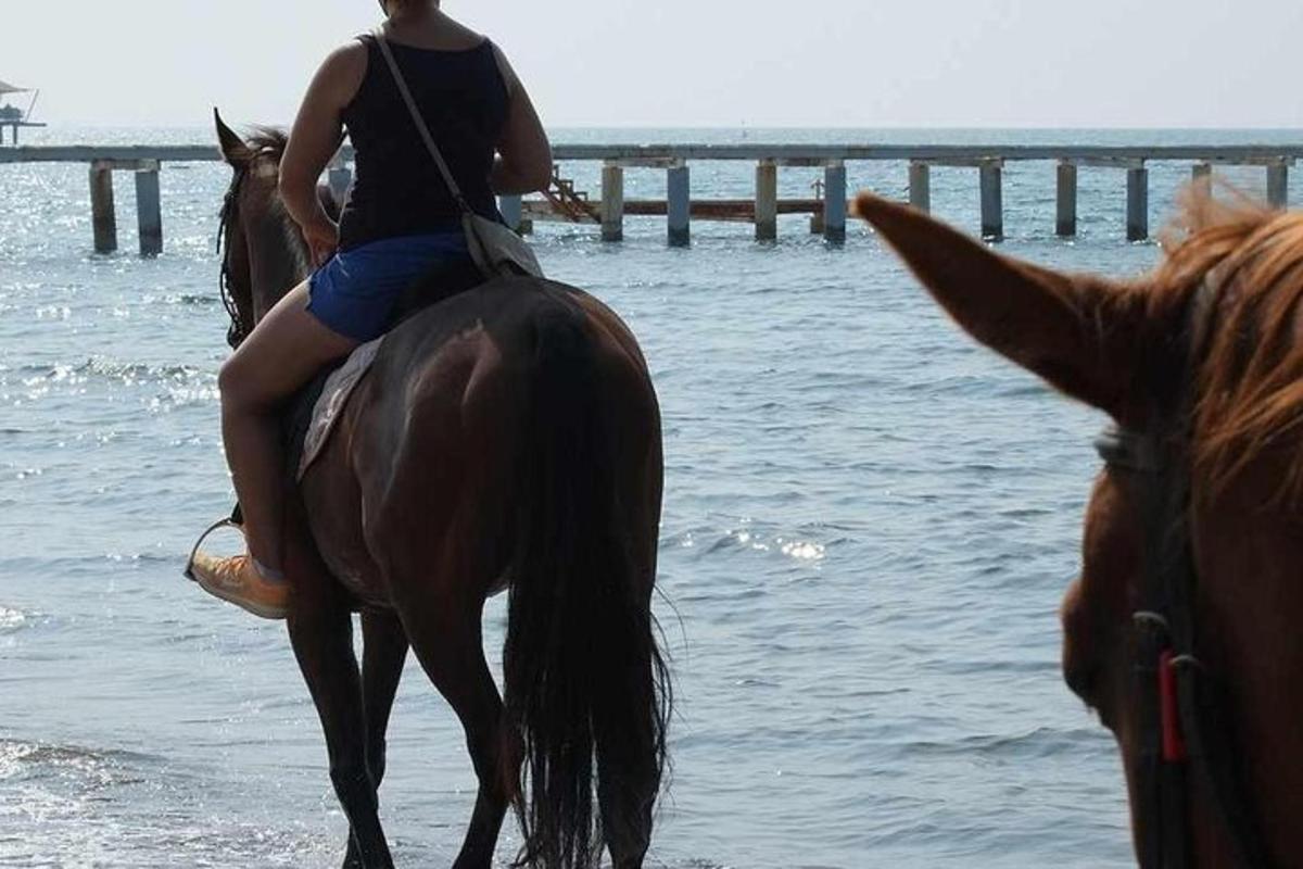 a woman riding a horse on the beach