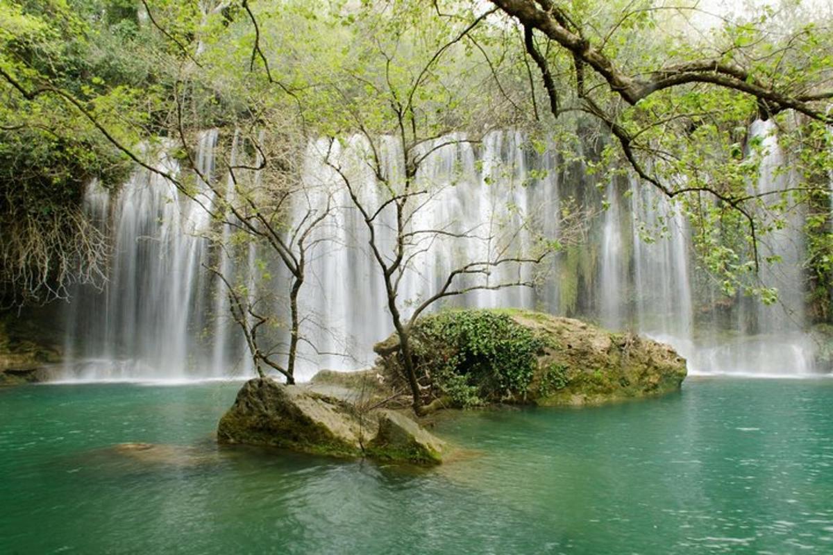 una cascada en un bosque con una roca en el agua