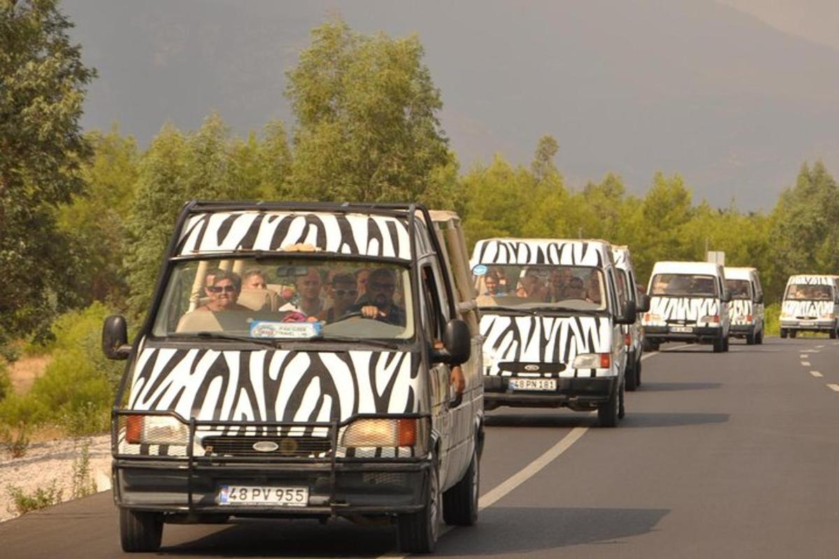 a group of buses driving down a road with zebras