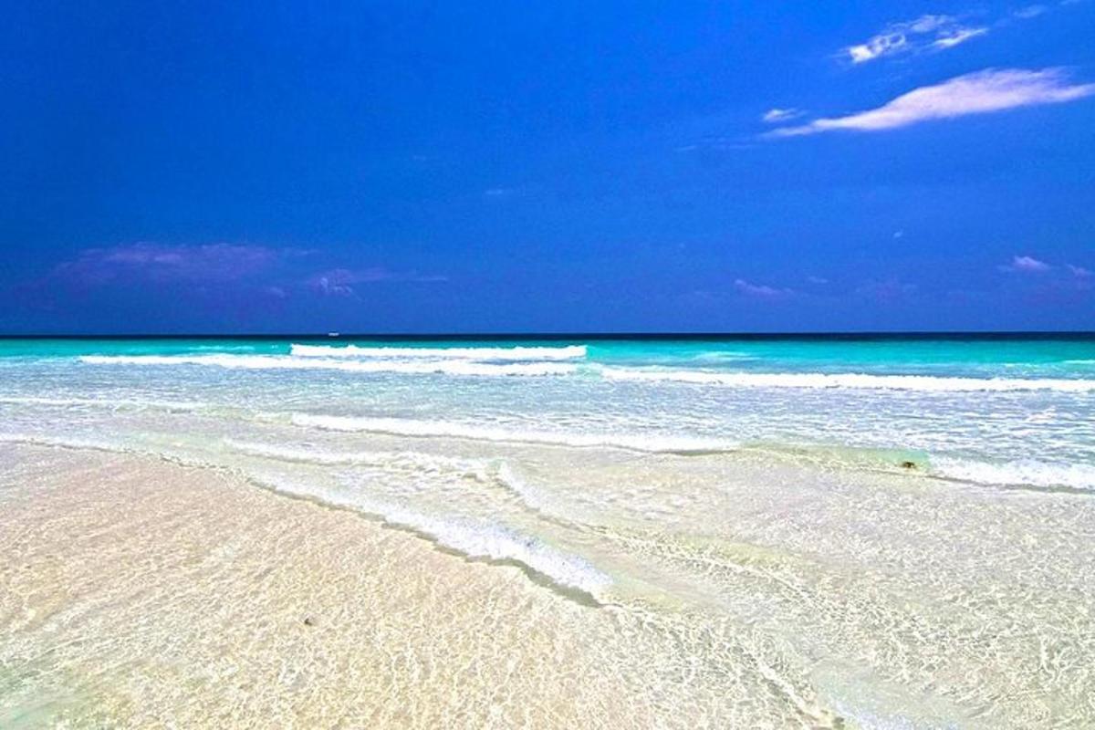 uma praia de areia com o oceano ao fundo