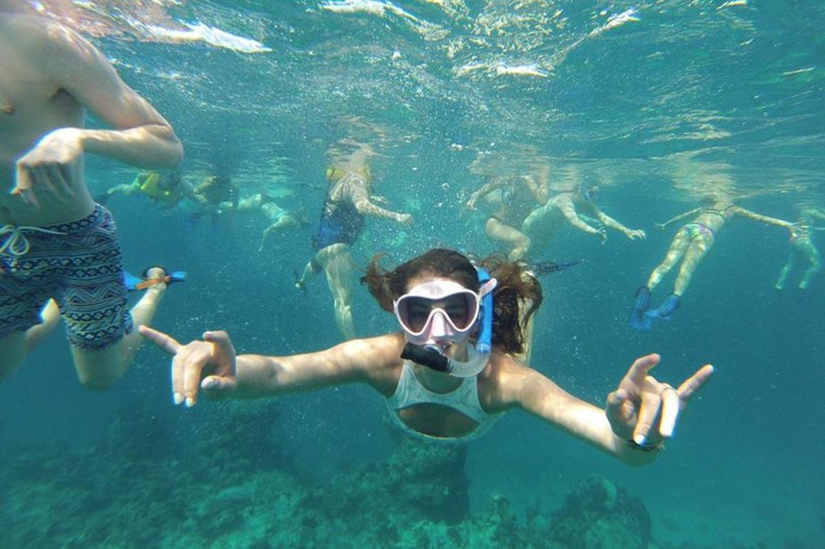 sekumpulan orang berenang di dalam air