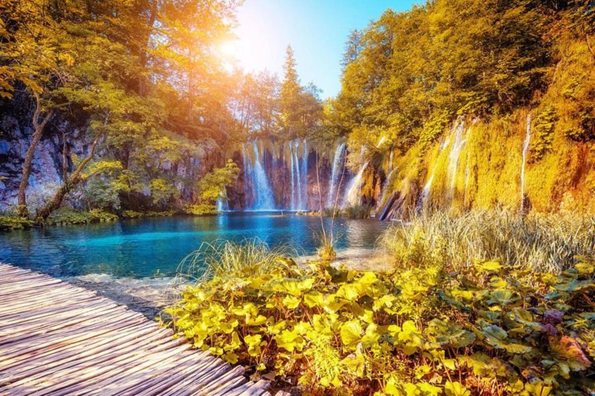 a waterfall in the middle of a river with plants