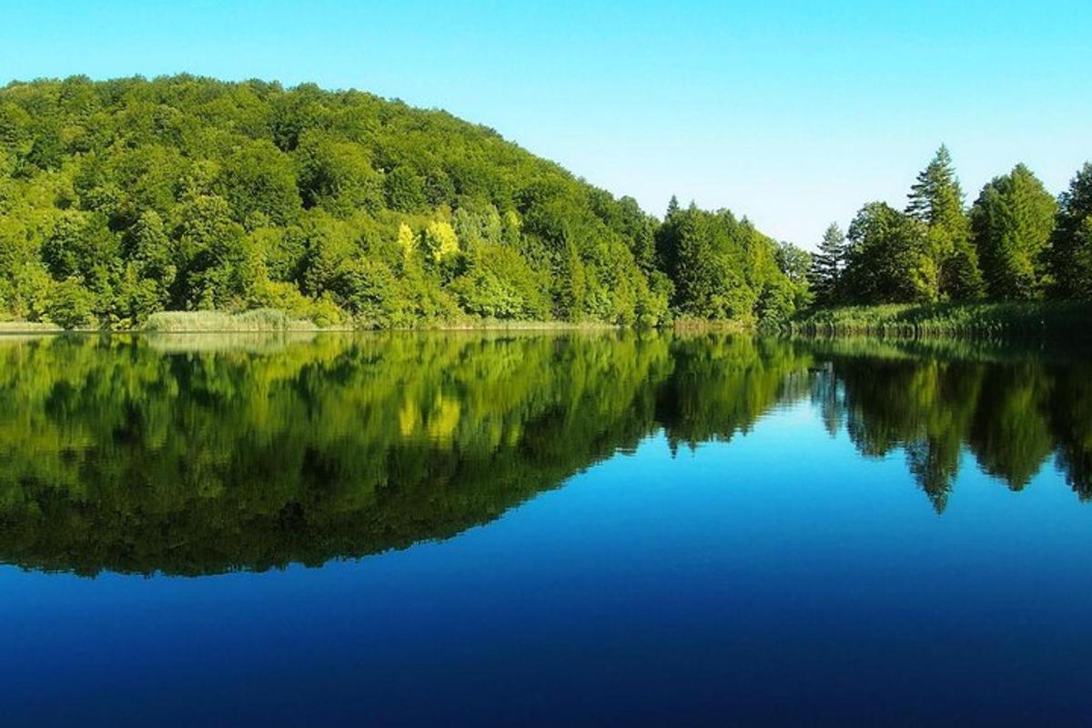 湖岸边有树的大湖