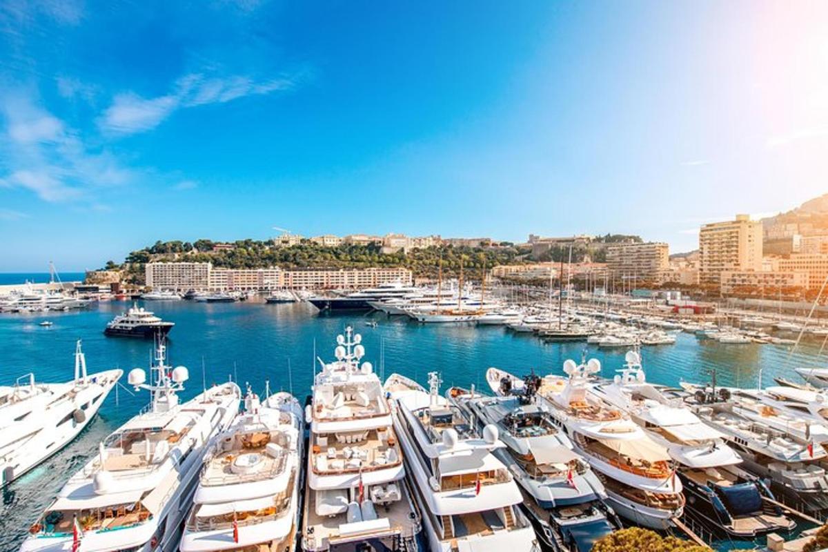 un munt de vaixells atracats en un port