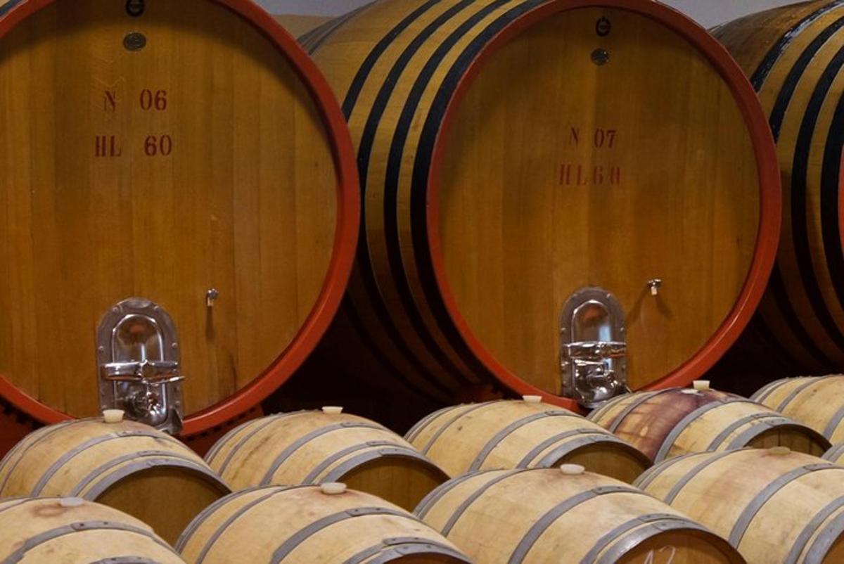 tres barriles de madera en una bodega