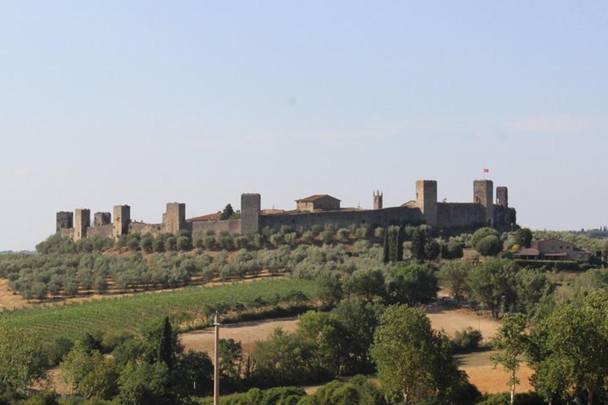 un castel pe vârful unui deal cu copaci