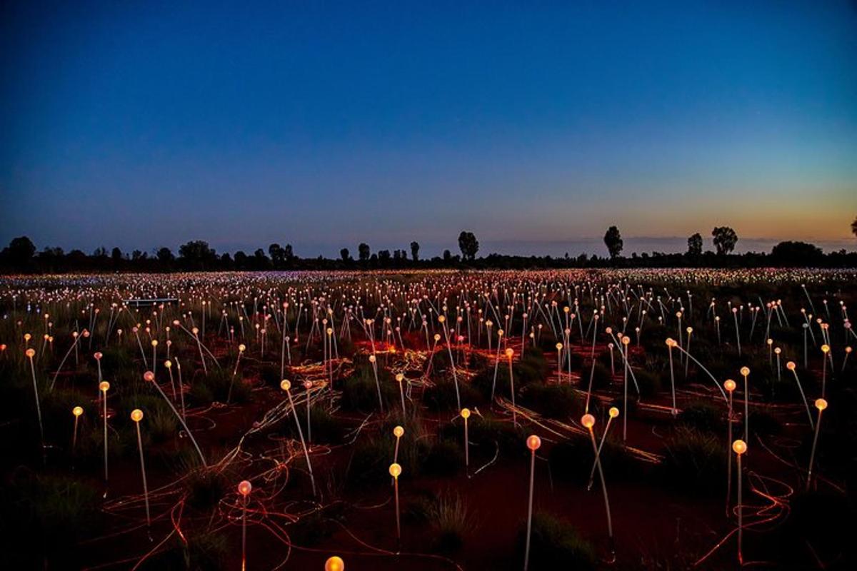 a field filled with lots of lit up candles