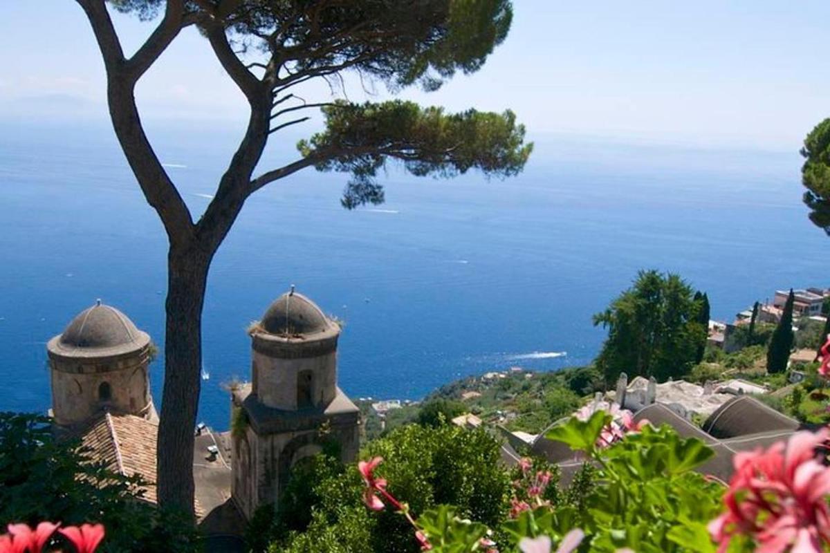 un albero e una vista sull'oceano