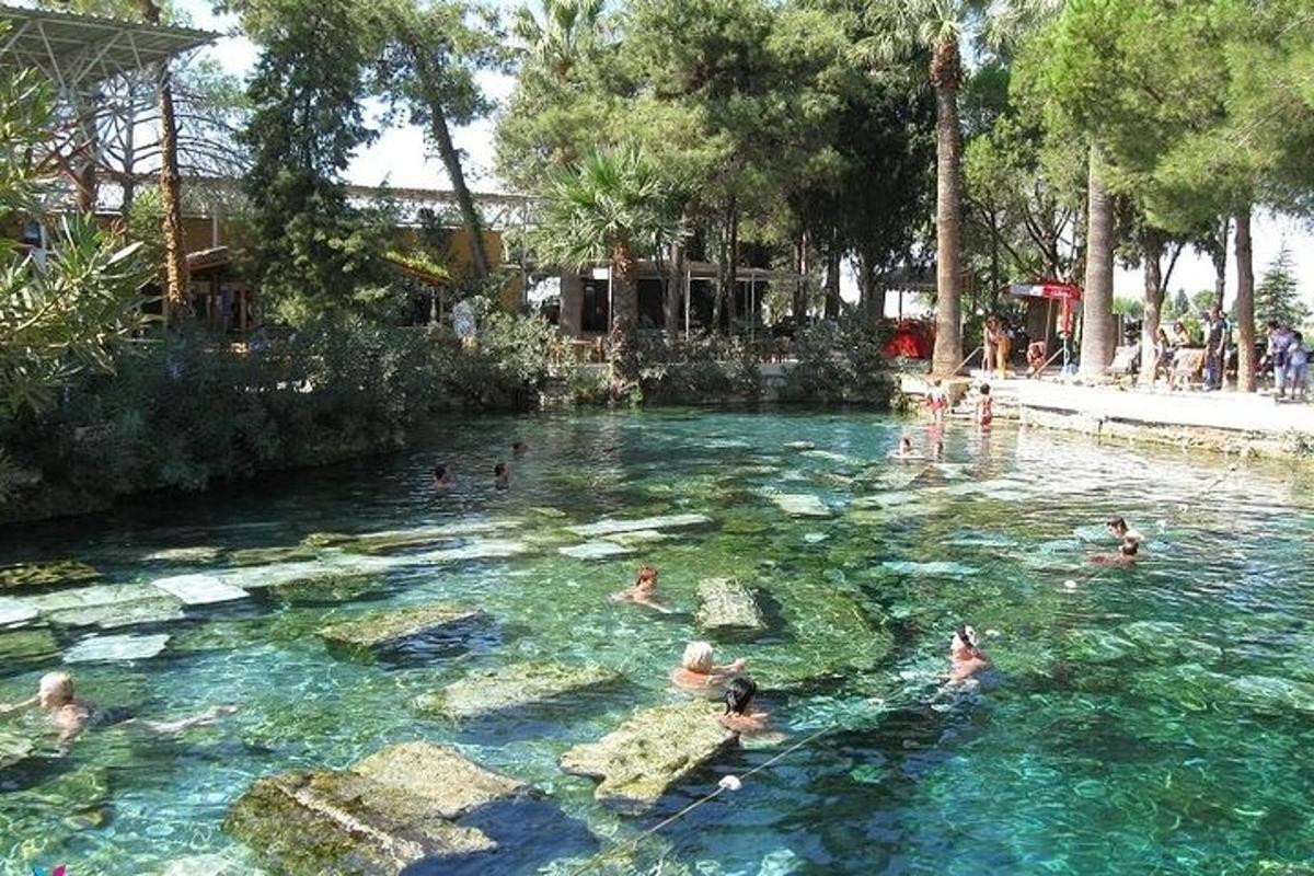 a group of people in the water at a swimming pool
