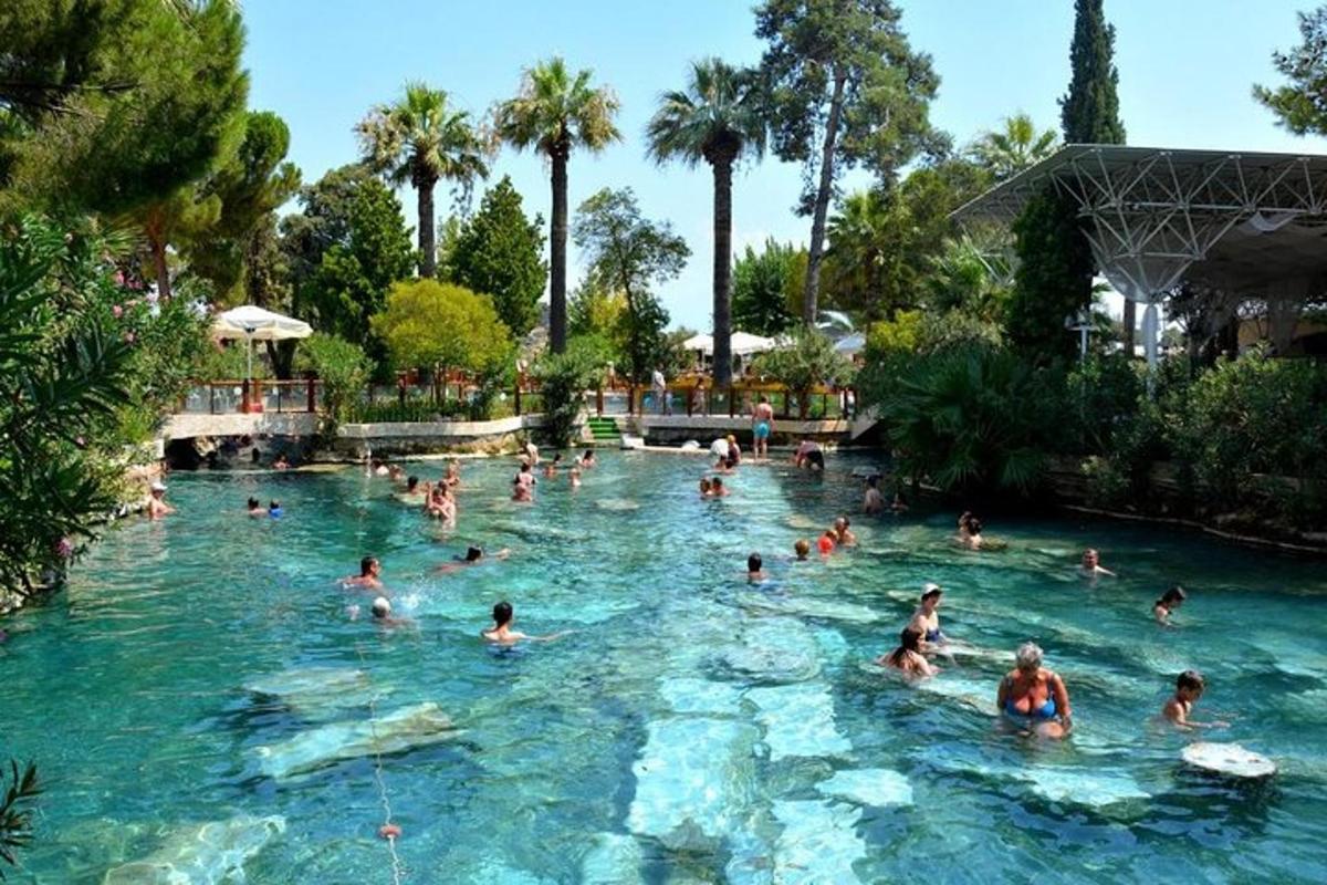 a group of people swimming in a swimming pool