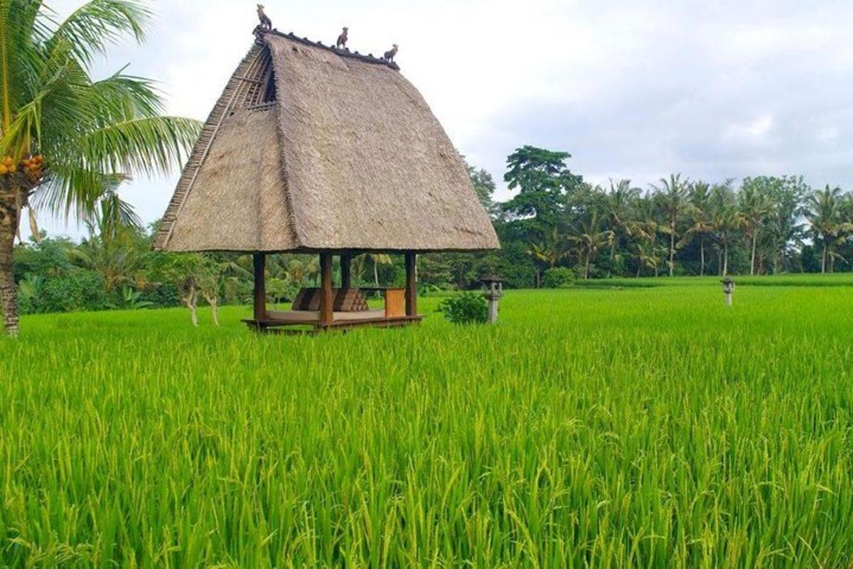una petita cabana en un camp d'herba verda