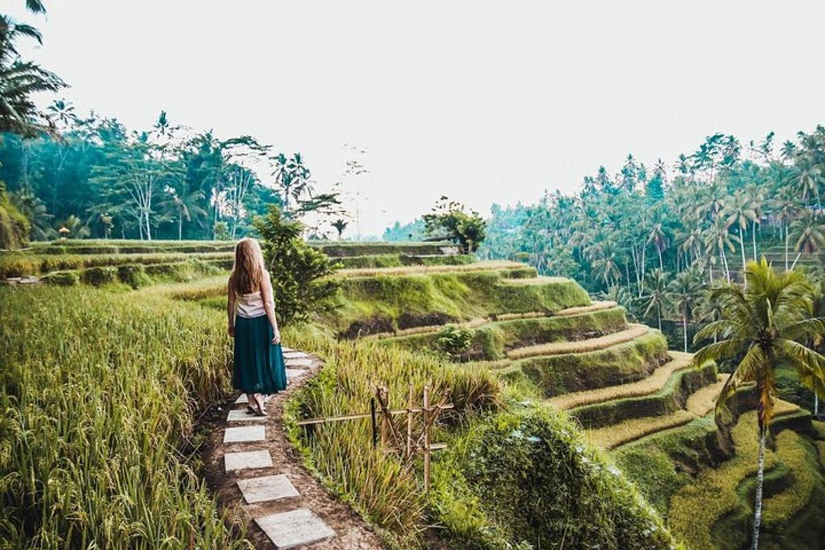 một người phụ nữ đang đi bộ trên con đường xuyên qua một cánh đồng
