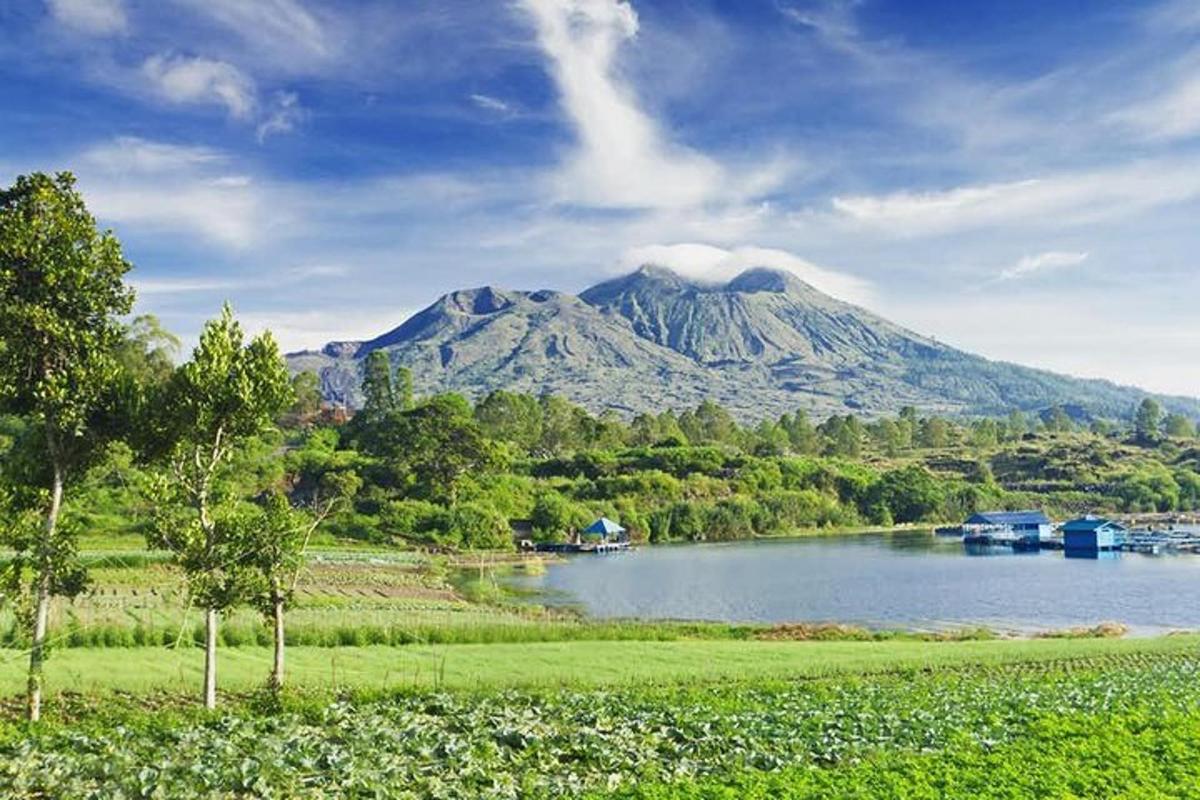 gunung di kejauhan dengan tasik dan pokok