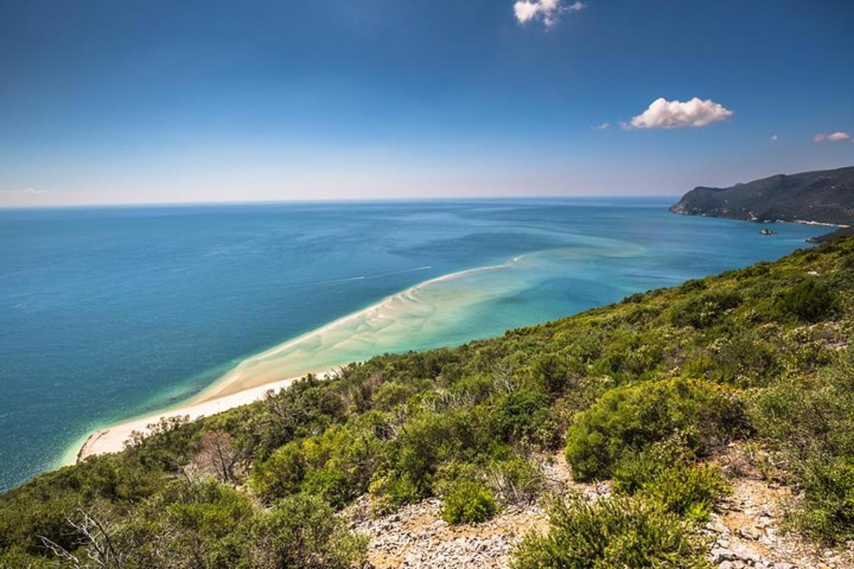 wyspa na środku oceanu