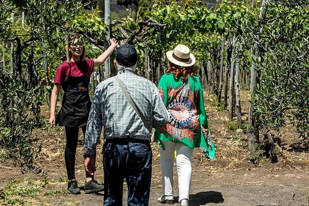 a group of people walking down a dirt road