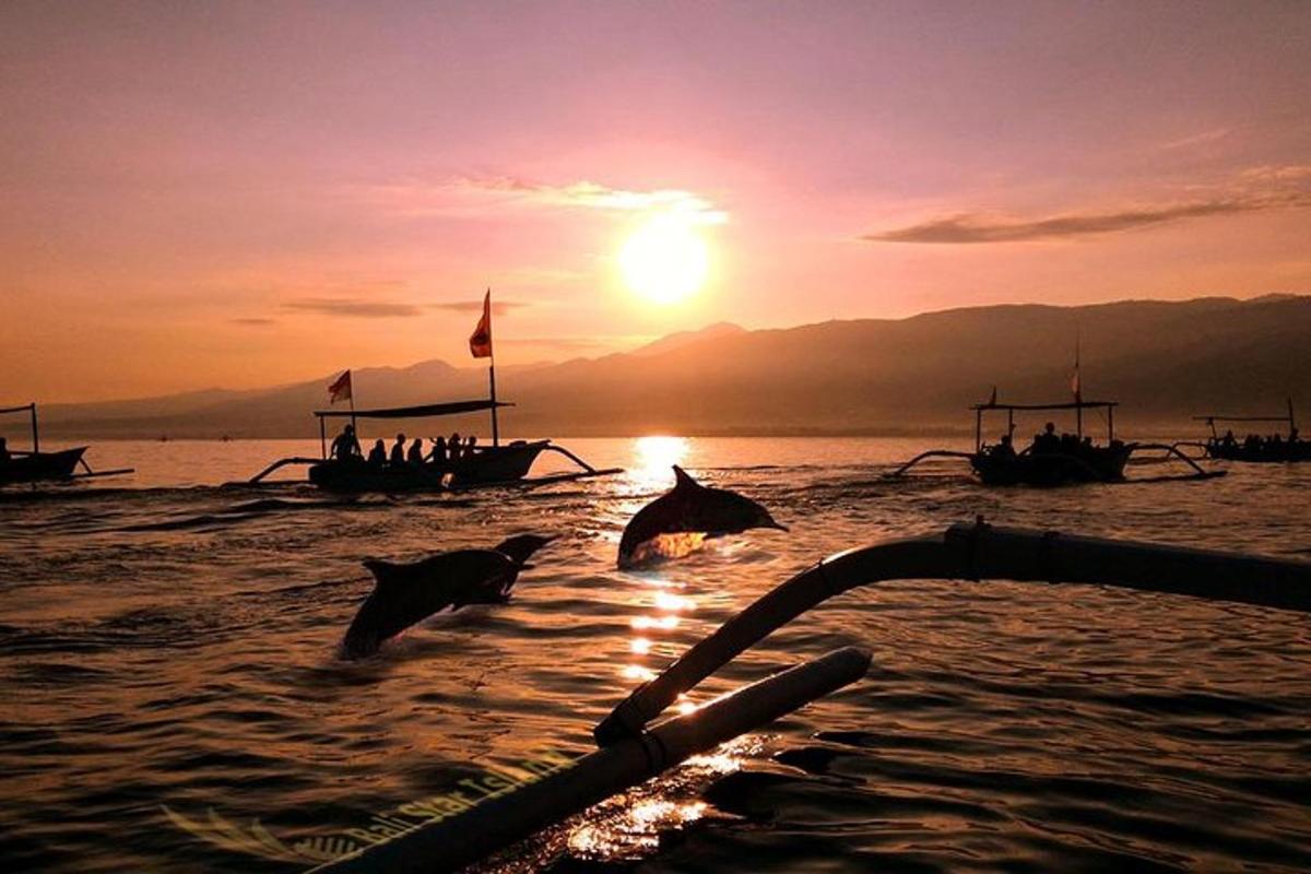 a group of dolphins jumping out of the water at sunset
