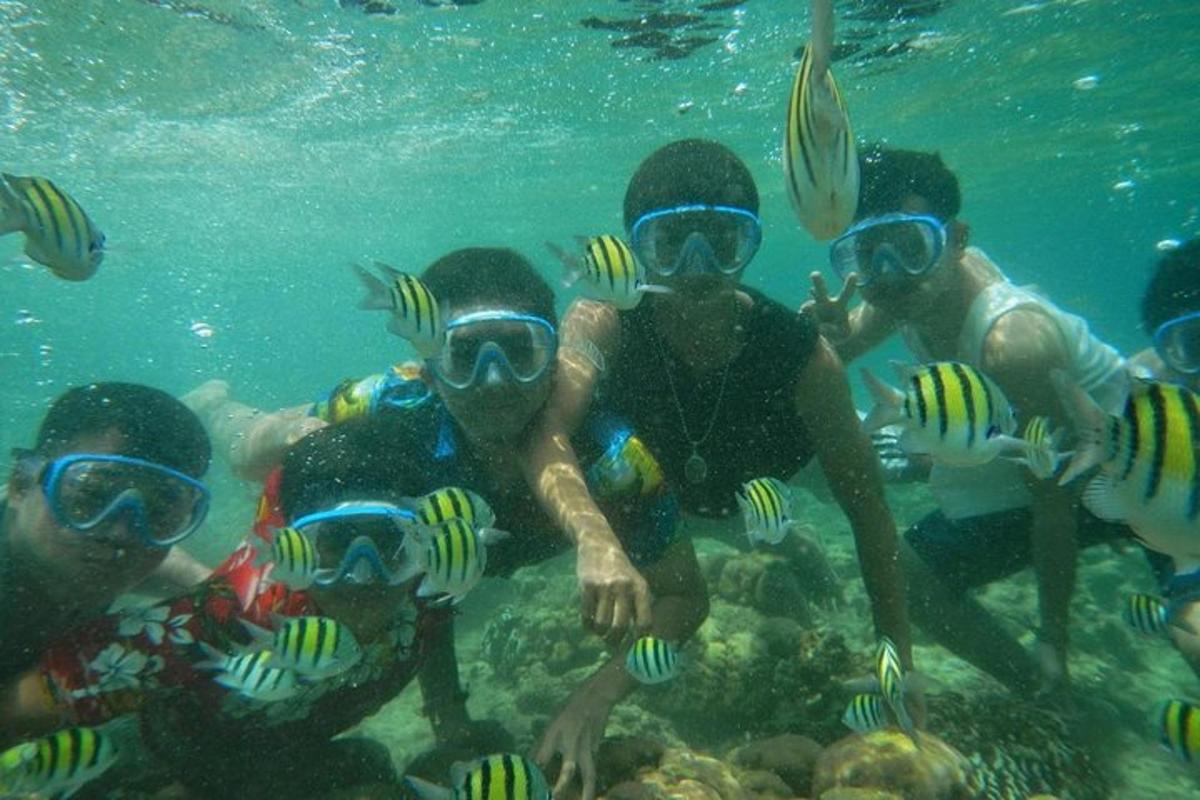 Un grupo de personas en el agua con peces.