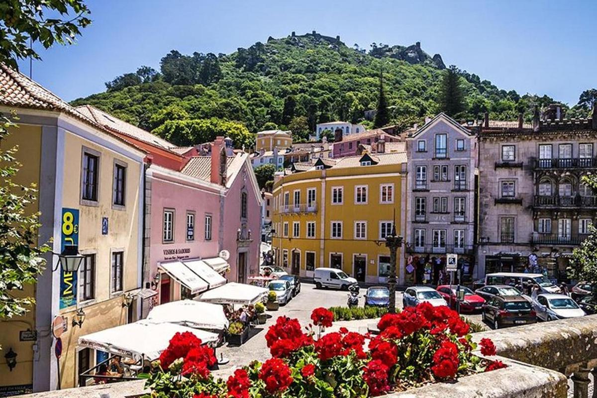 uma vista de uma cidade com edifícios e flores vermelhas