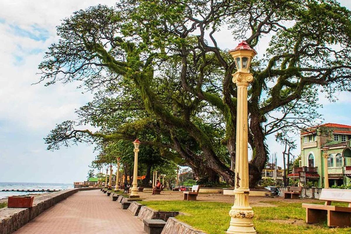 a row of street lights on a sidewalk near the water