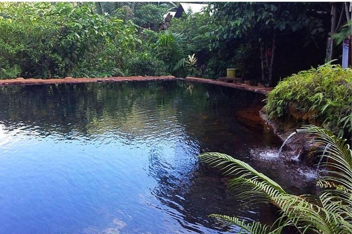 a pool of water in a garden with trees