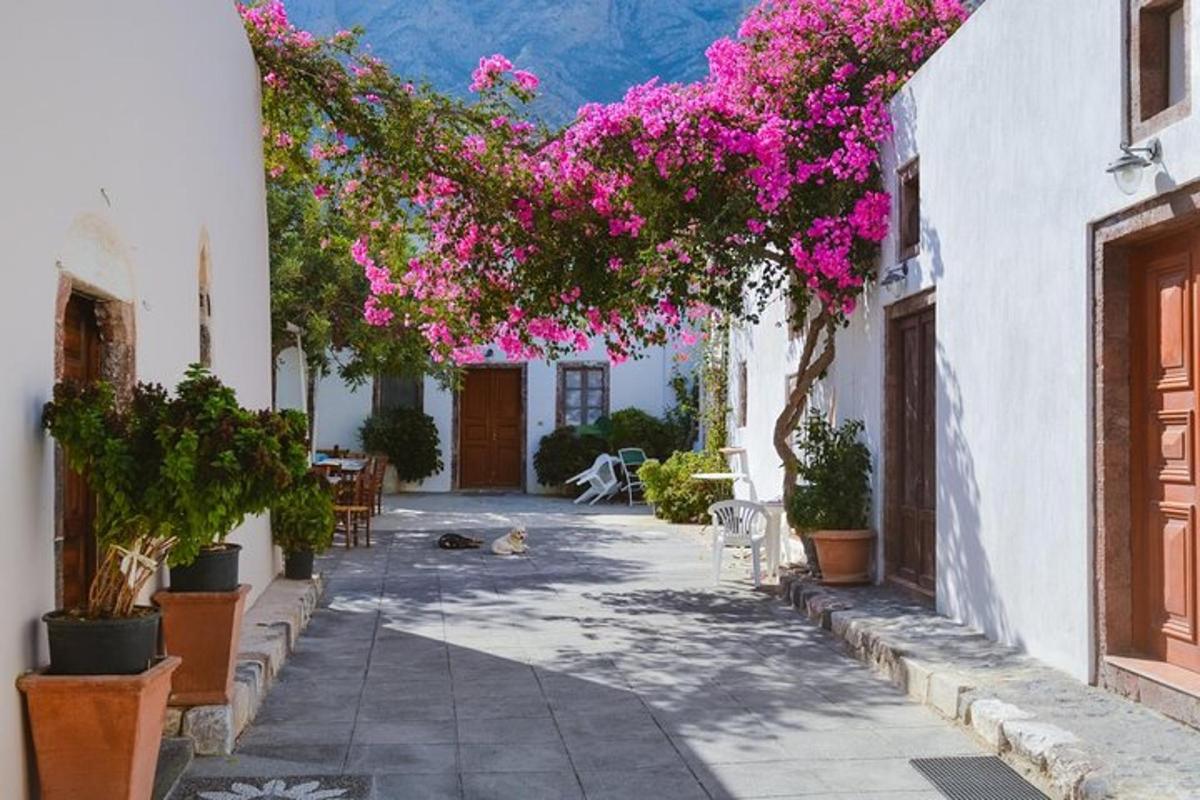 un cortile con fiori rosa su un edificio