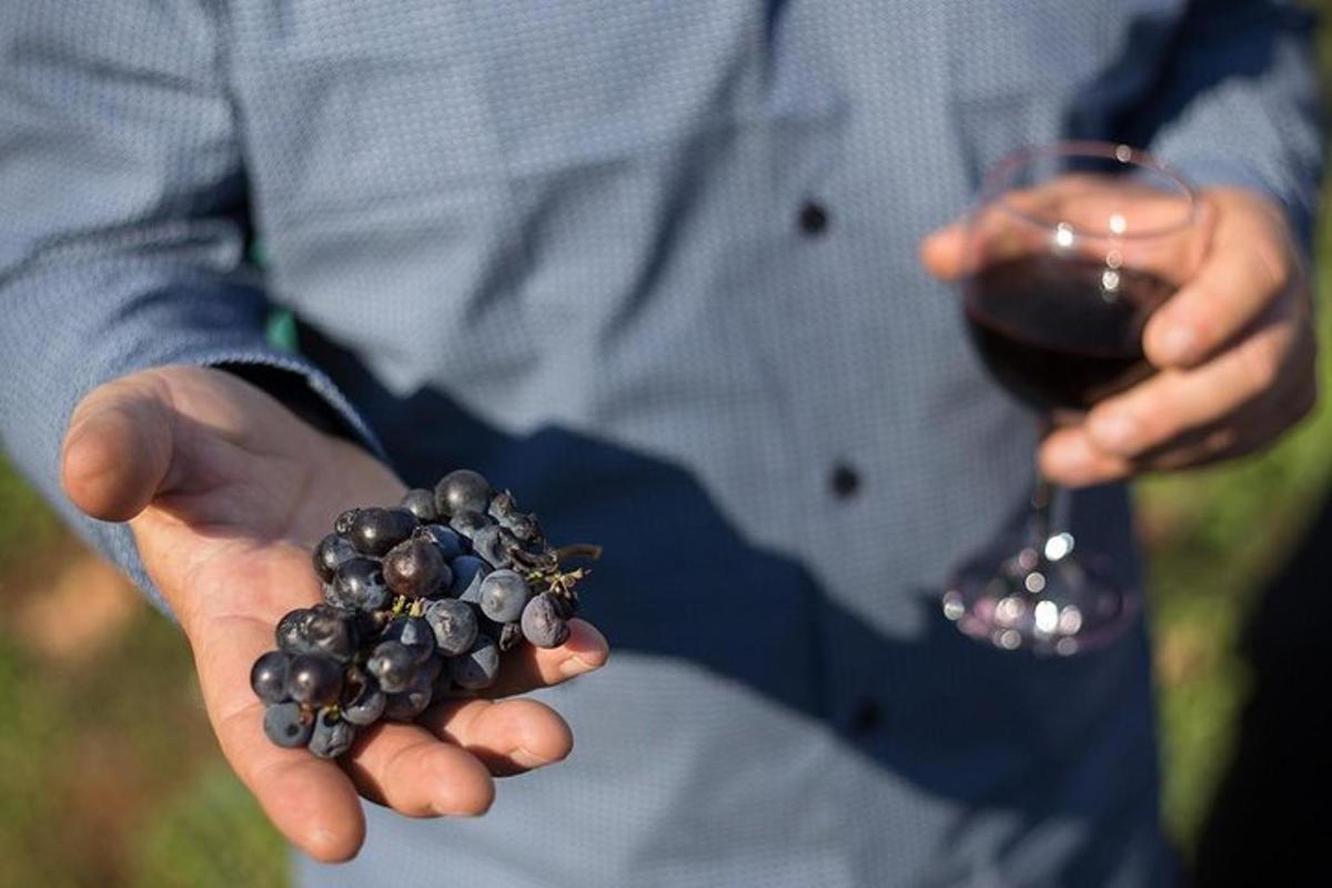 a man holding a glass of wine and a bunch of grapes